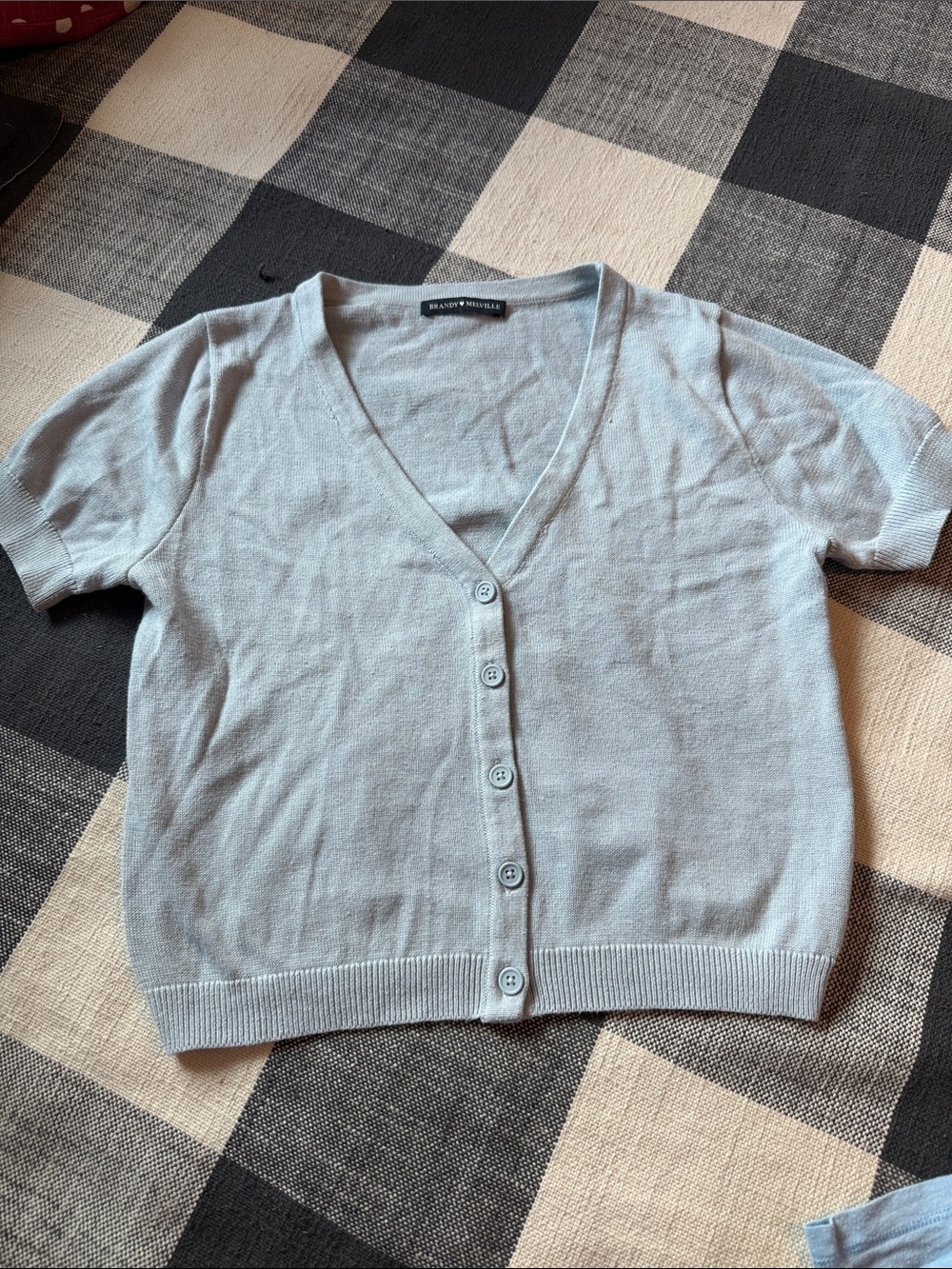 Brandy Melville Pale Blue V-Neck Short Sleeve Button Cardigan